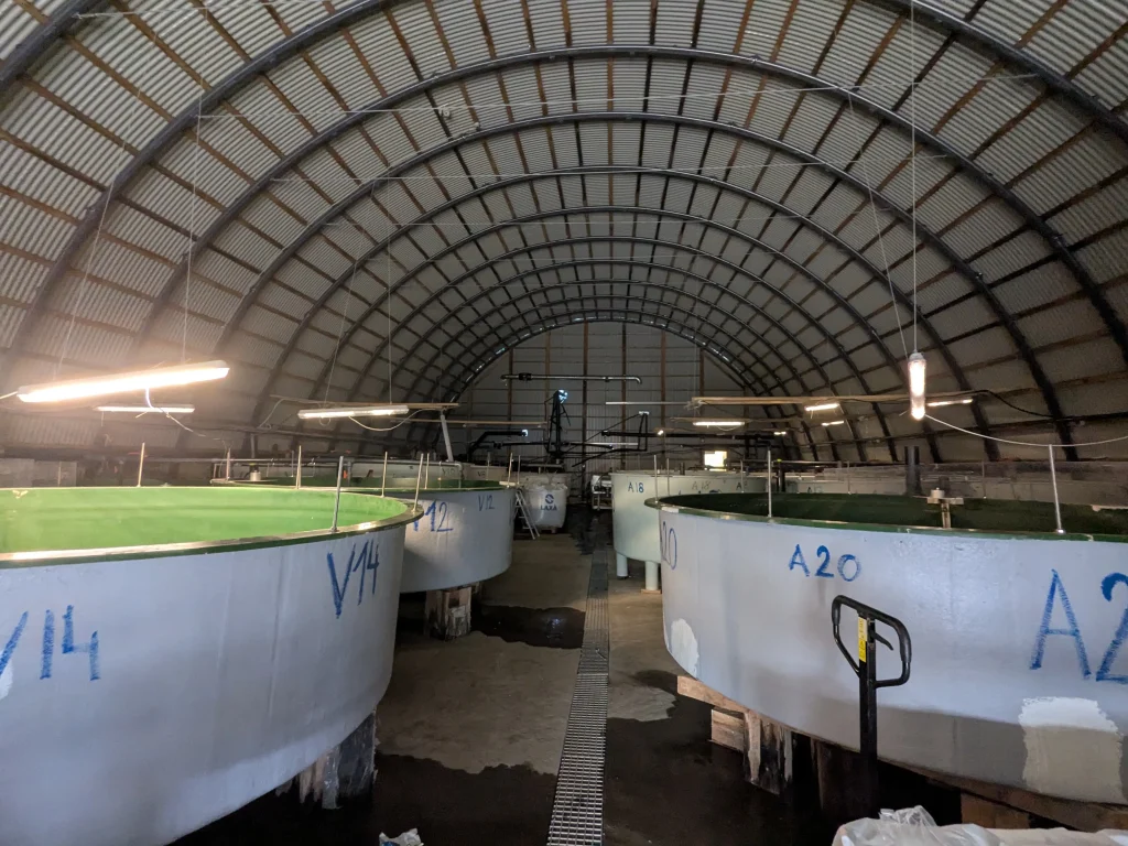 EstelleLyan-hangar truites Hangar avec des bassins de truites