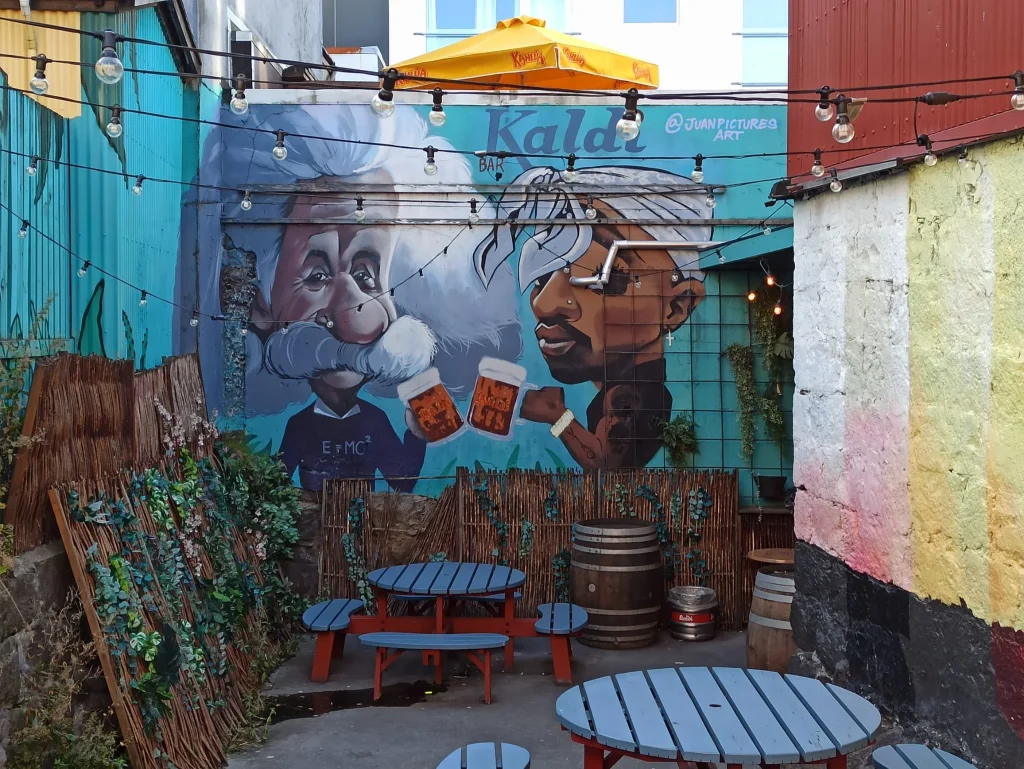 EstelleLyan-streetartReykjavik Street art dans la cour d'un bar à Reykjavik